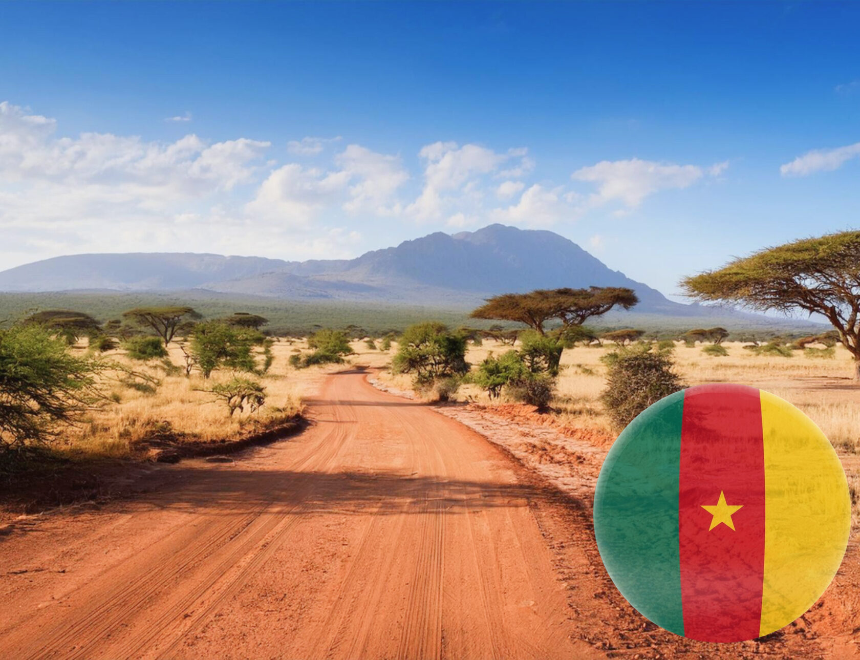 Cameroon: Mandatory Sample Submission for Type Approval