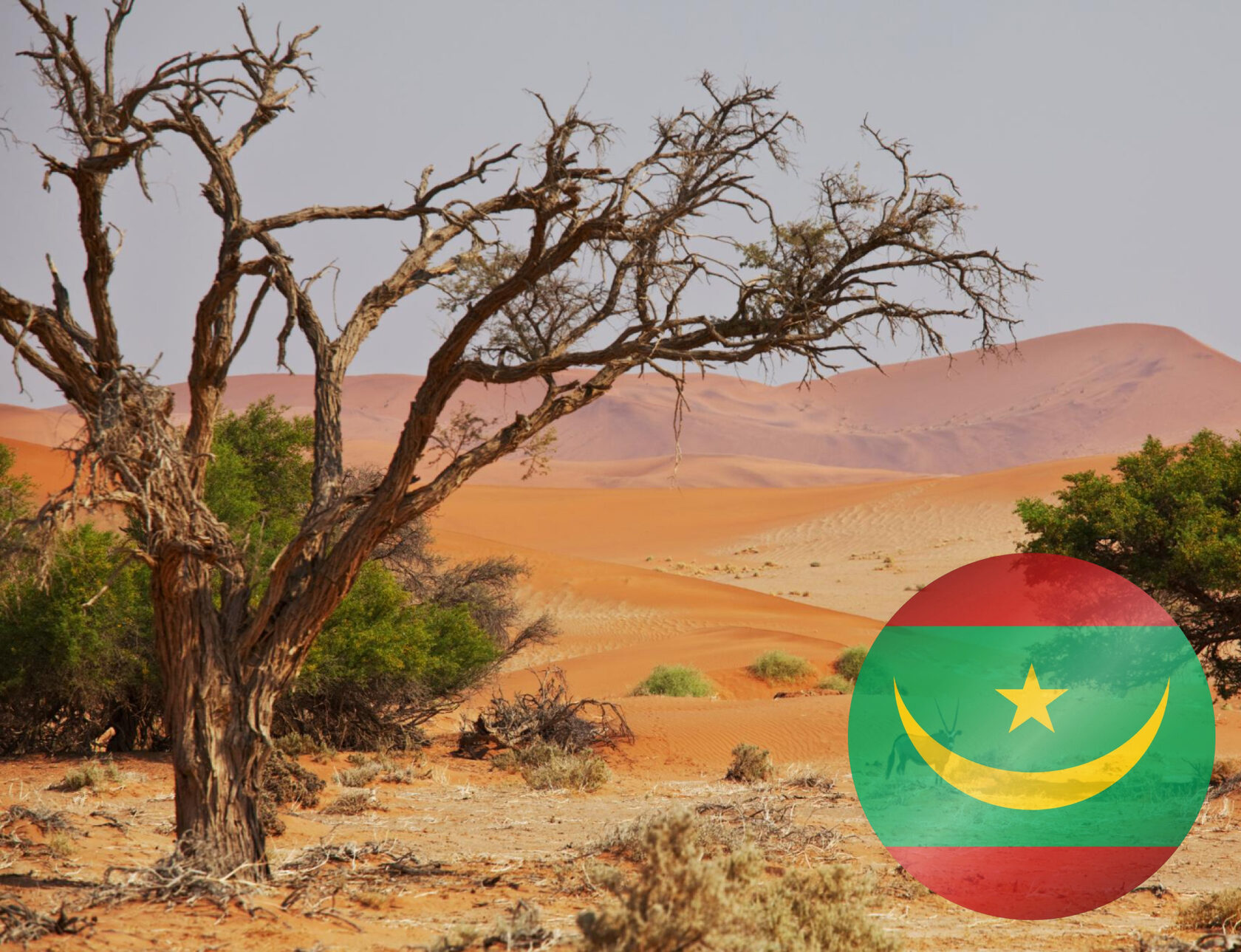 Mauritania Formalizes Regulations for Short-Range Radio Devices